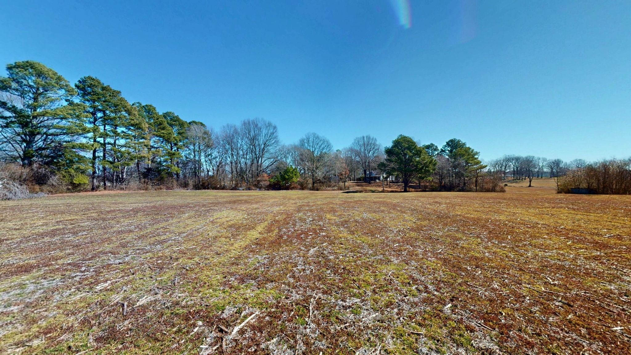 95 Old McKenzie Road McKenzie, TN 38201 - Photo 20 of 43