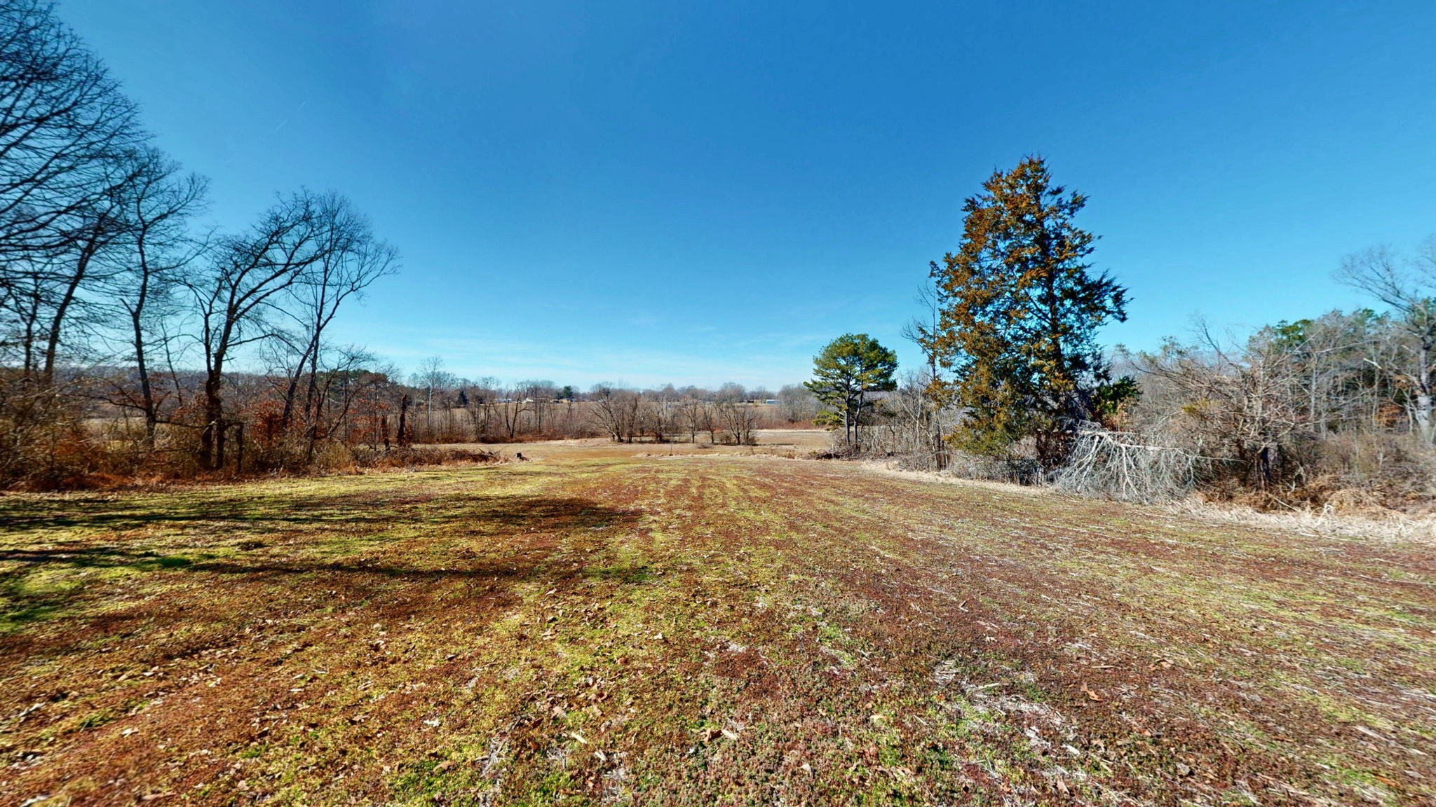 95 Old McKenzie Road McKenzie, TN 38201 - Photo 21 of 43