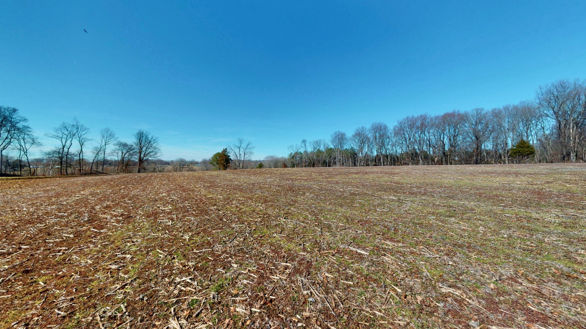 95 Old McKenzie Road McKenzie, TN 38201 - Photo 22 of 43