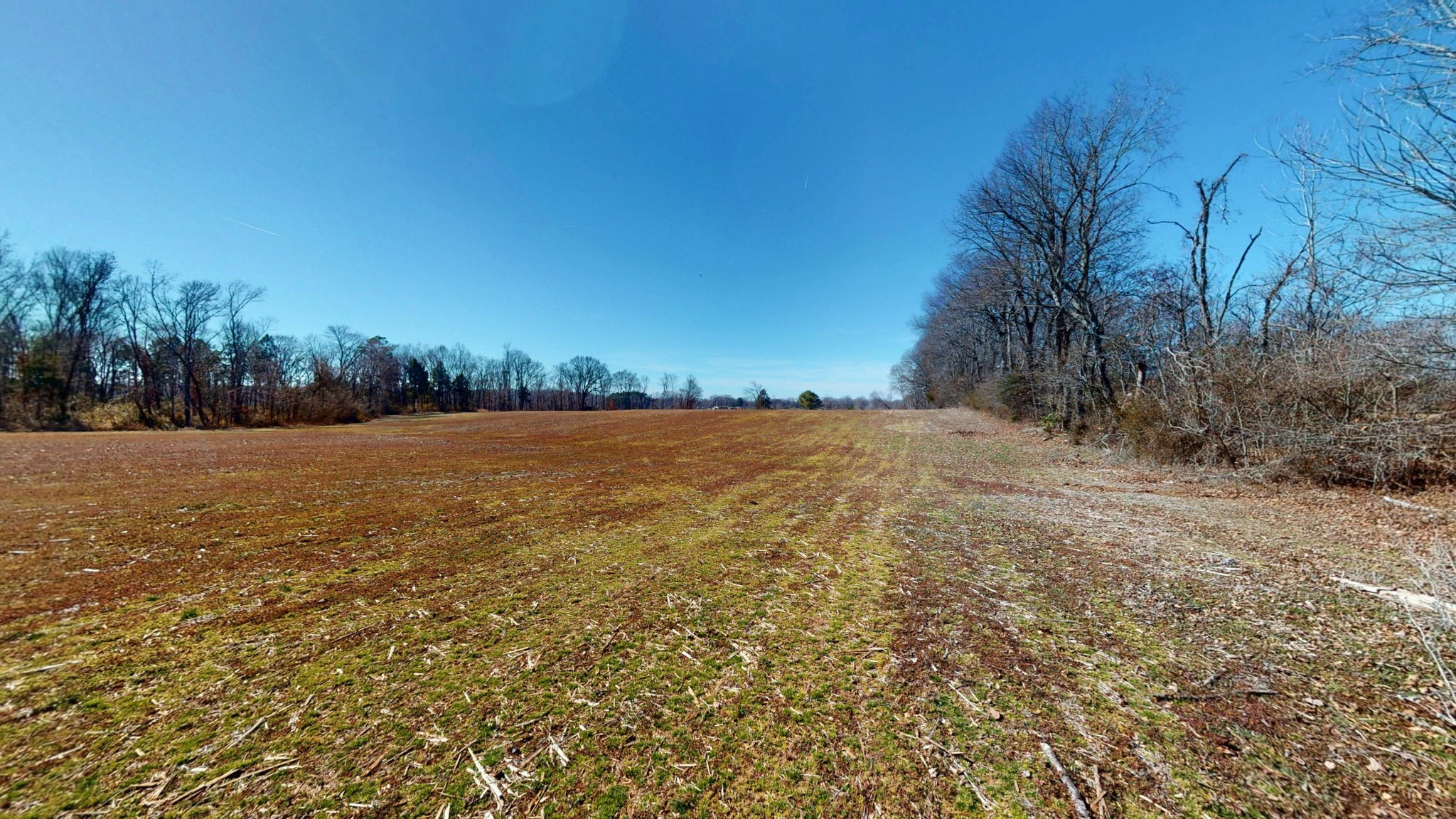 95 Old McKenzie Road McKenzie, TN 38201 - Photo 23 of 43