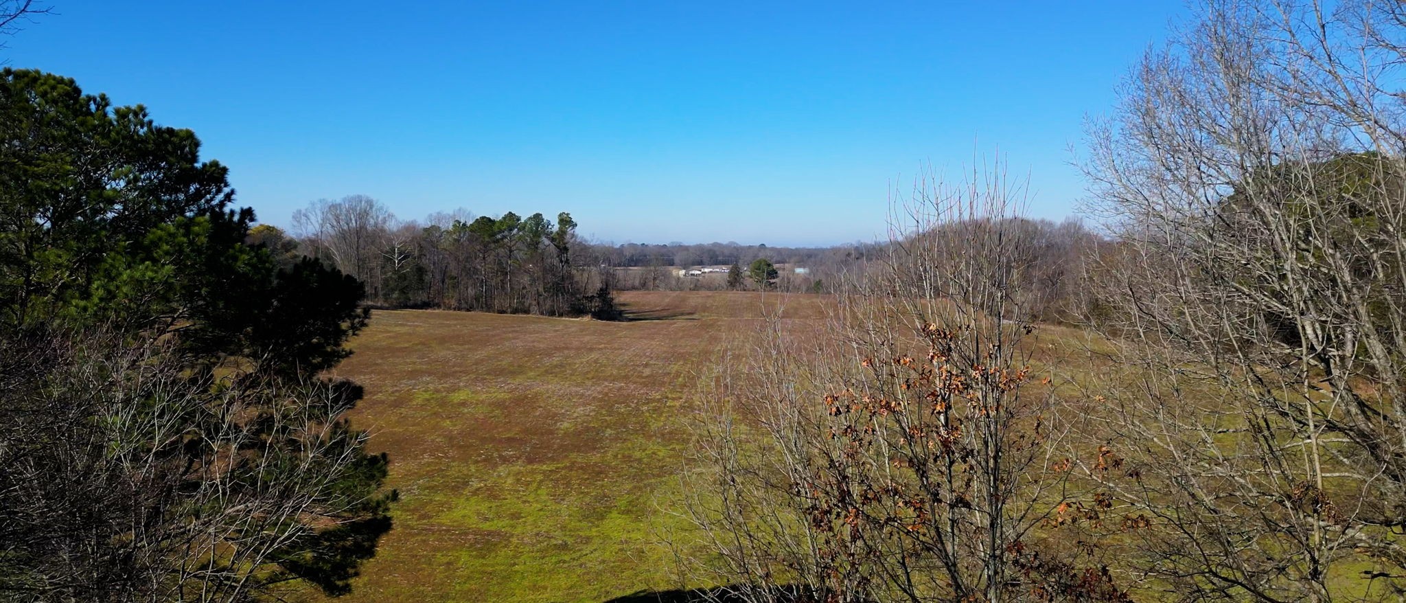 95 Old McKenzie Road McKenzie, TN 38201 - Photo 26 of 43