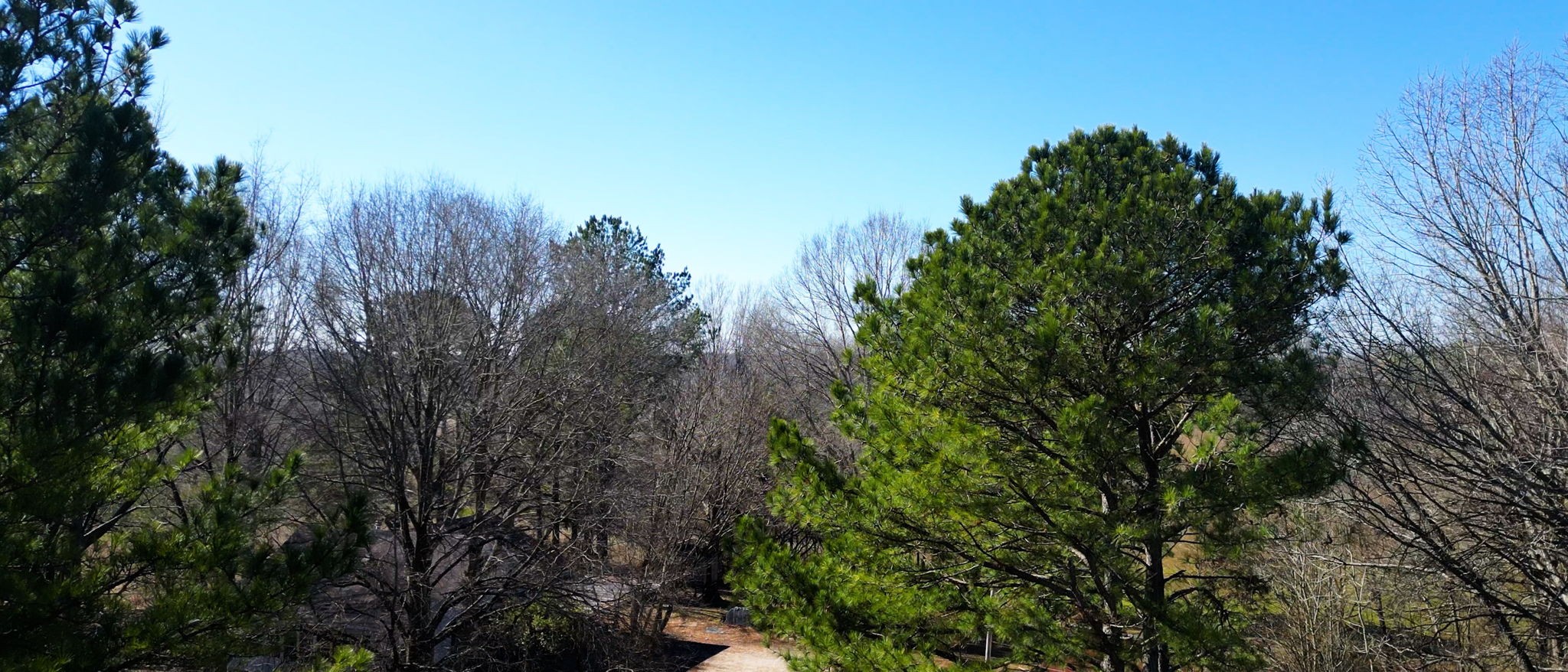 95 Old McKenzie Road McKenzie, TN 38201 - Photo 31 of 43