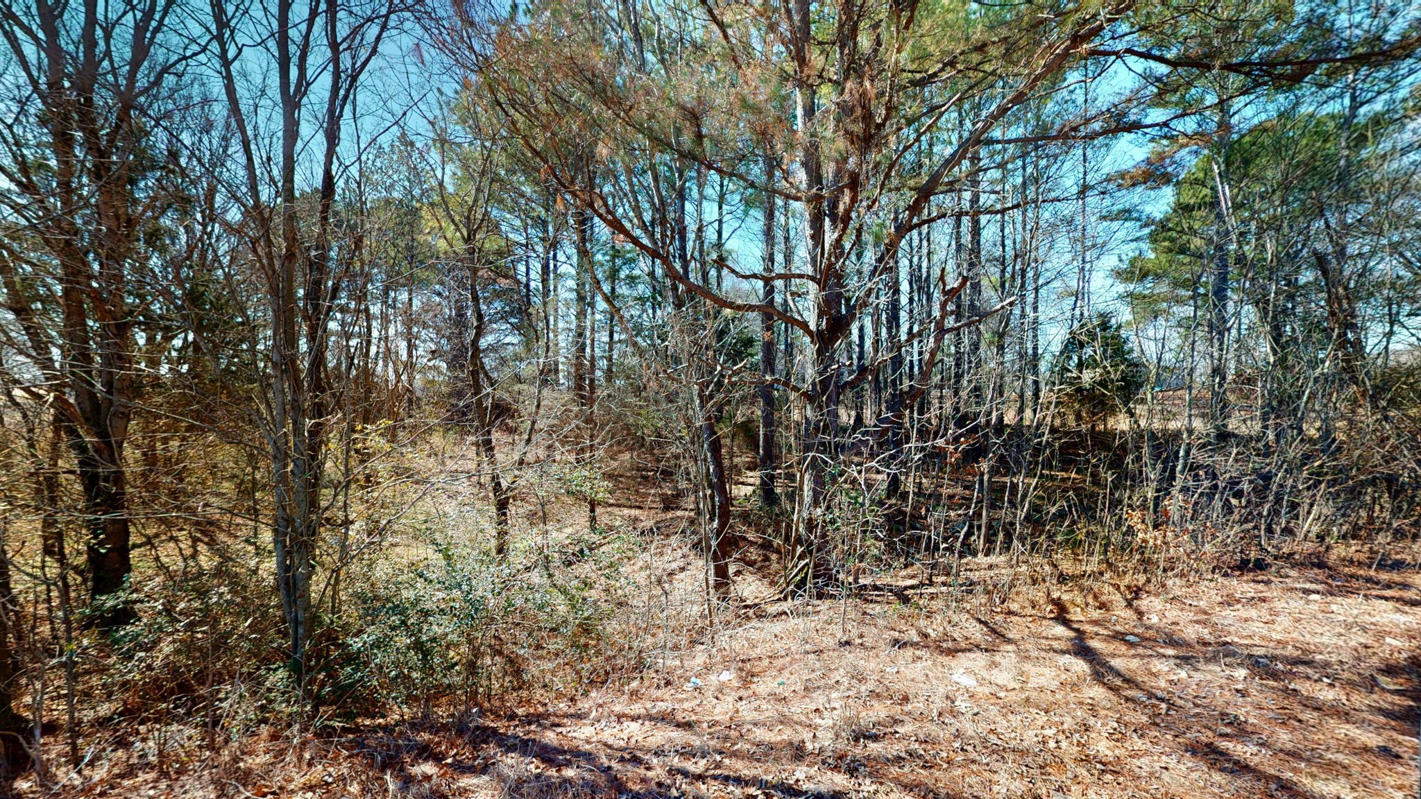 95 Old McKenzie Road McKenzie, TN 38201 - Photo 8 of 43