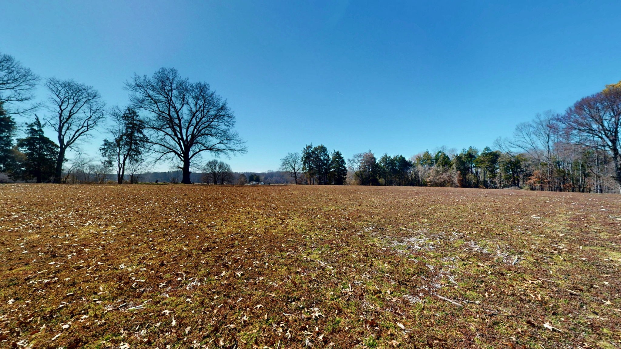 95 Old McKenzie Road McKenzie, TN 38201 - Photo 9 of 43