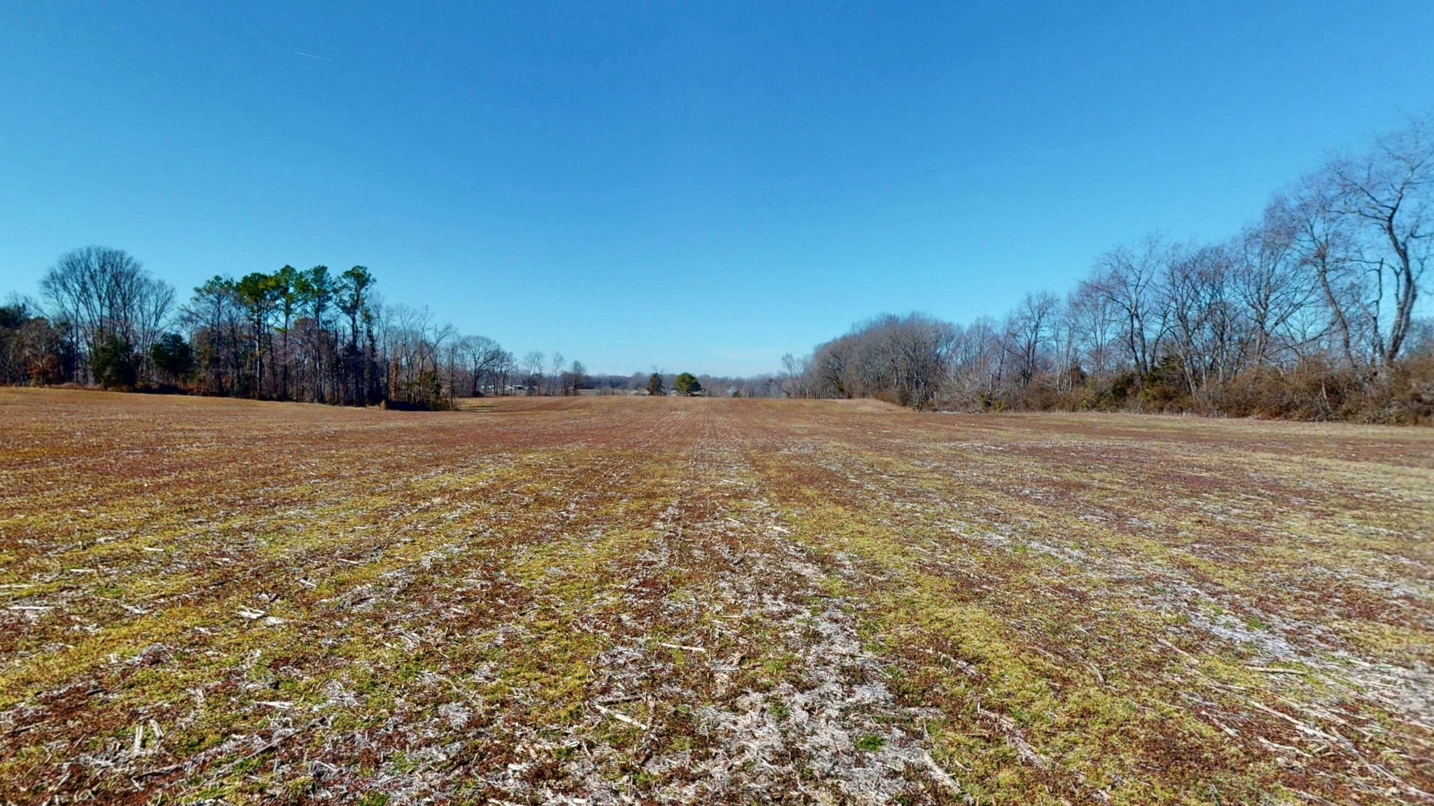 95 Old McKenzie Road McKenzie, TN 38201 - Photo 10 of 43
