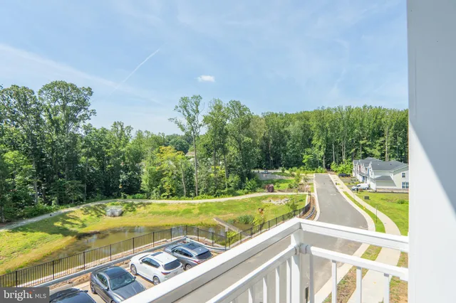 a view of a swimming pool with a yard and large trees