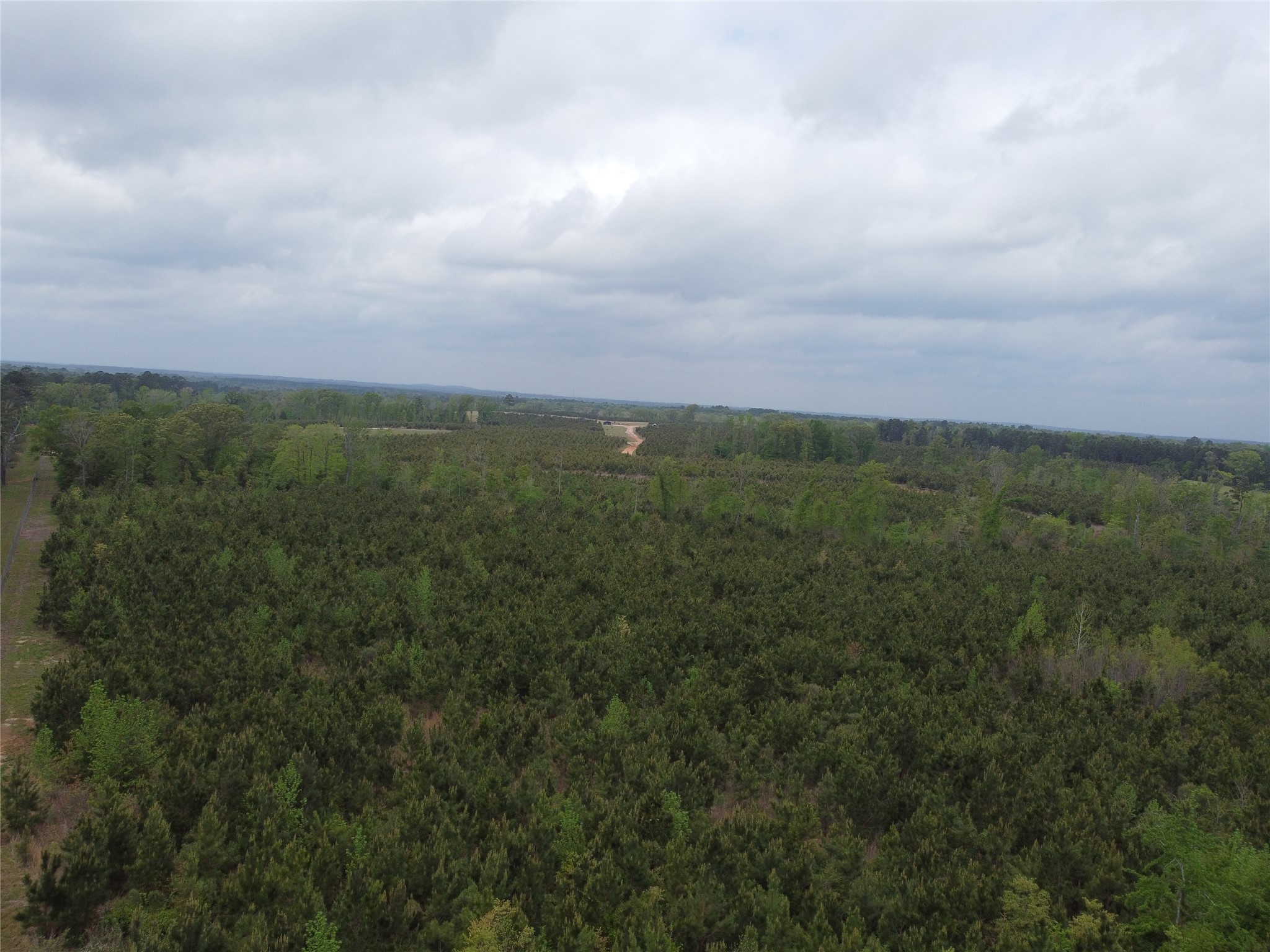 Tbd Joy Wright Mt Road Winona, TX 75792 - Photo 11 of 12