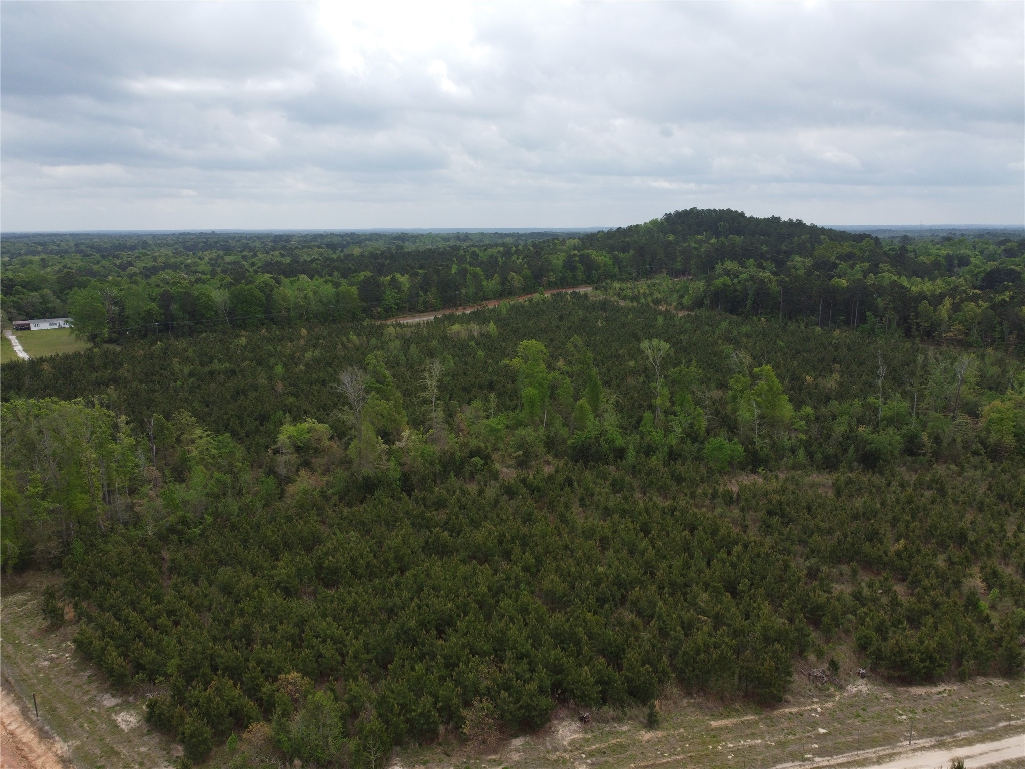 Tbd Joy Wright Mt Road Winona, TX 75792 - Photo 12 of 12