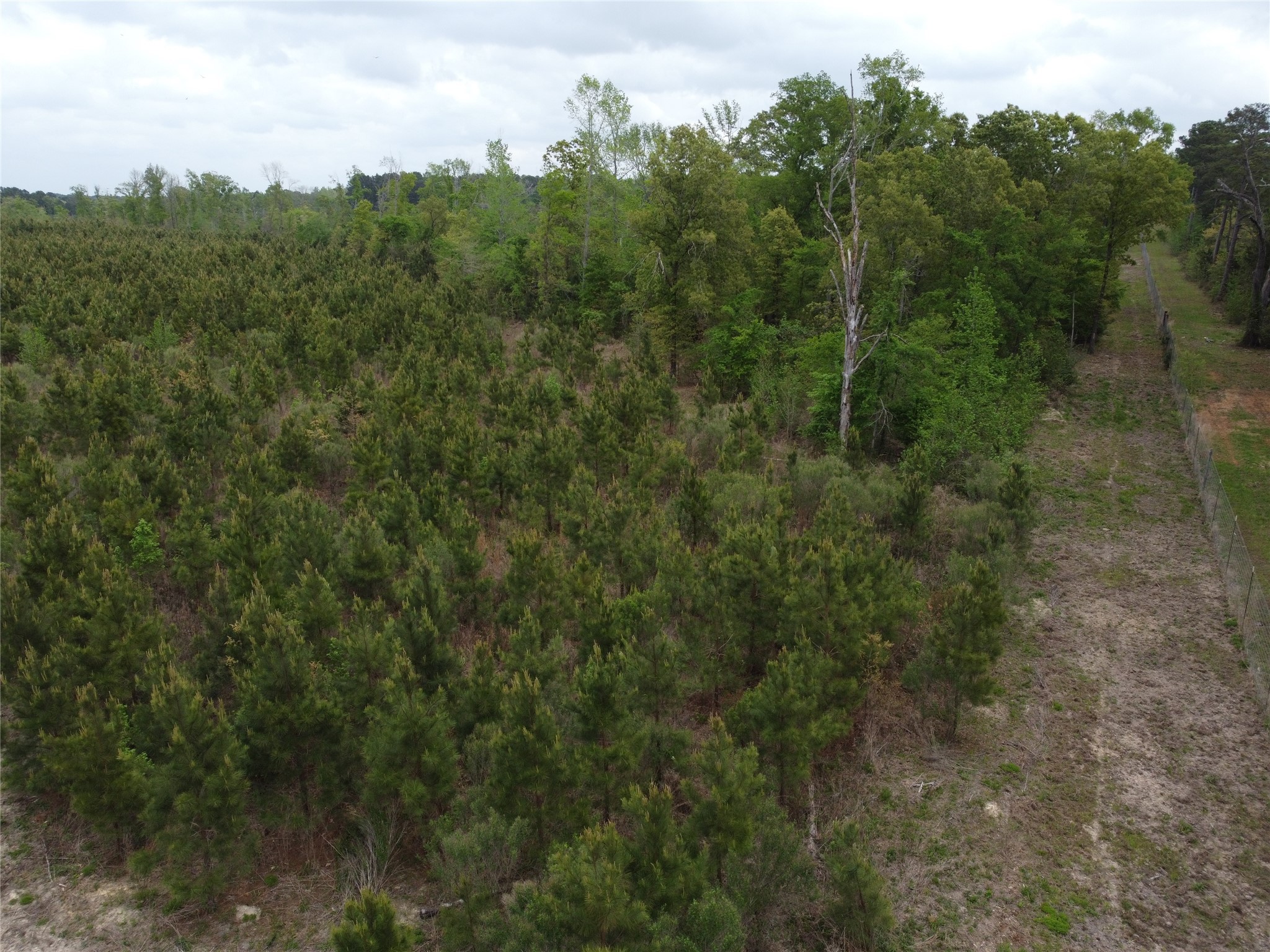 Tbd Joy Wright Mt Road Winona, TX 75792 - Photo 6 of 12