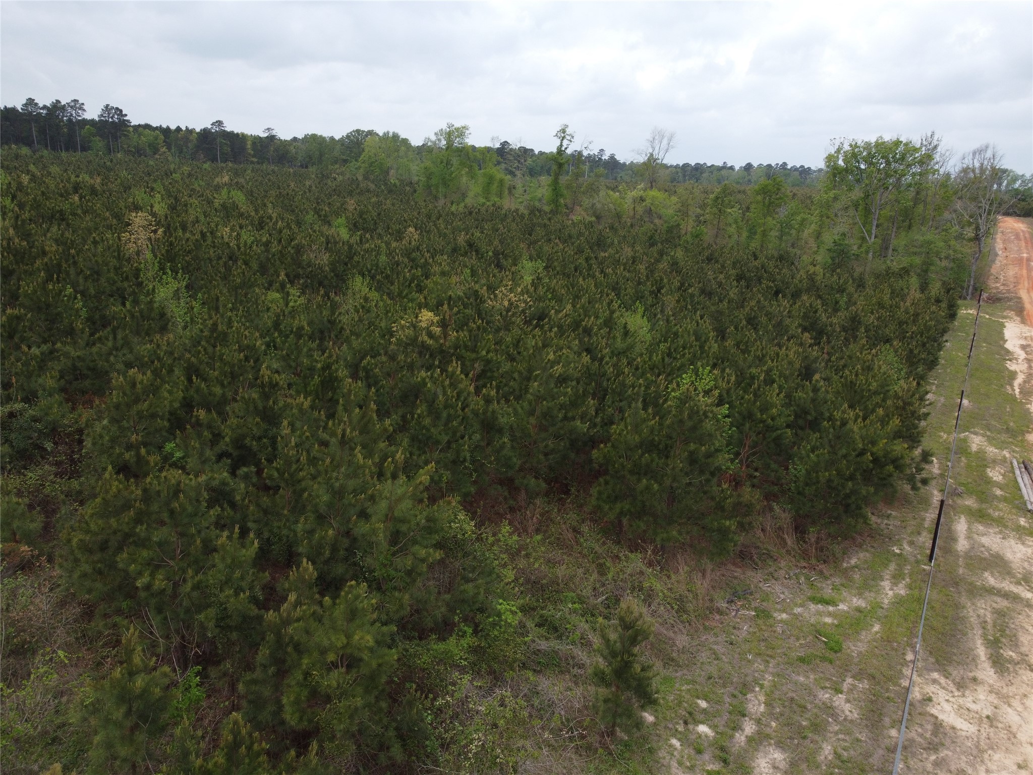 Tbd Joy Wright Mt Road Winona, TX 75792 - Photo 7 of 12