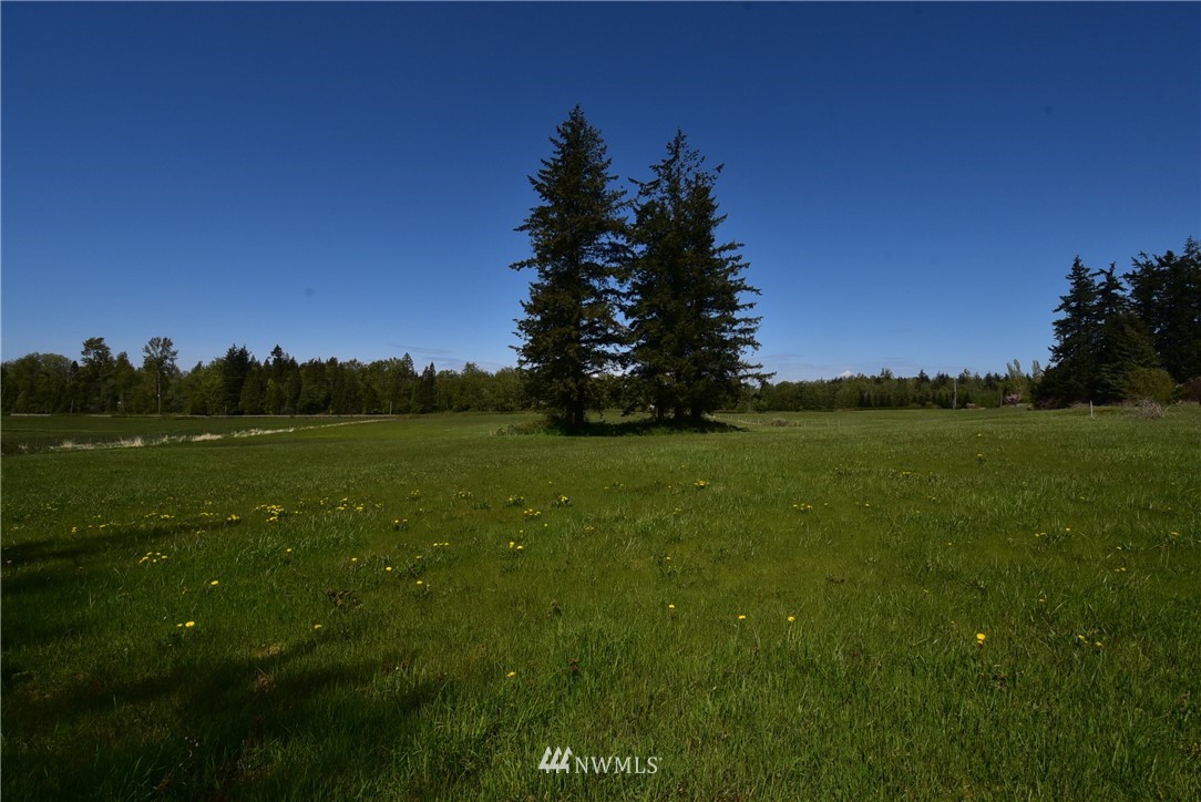 3795 Grandview Road Ferndale, WA 98248 - Photo 10 of 16
