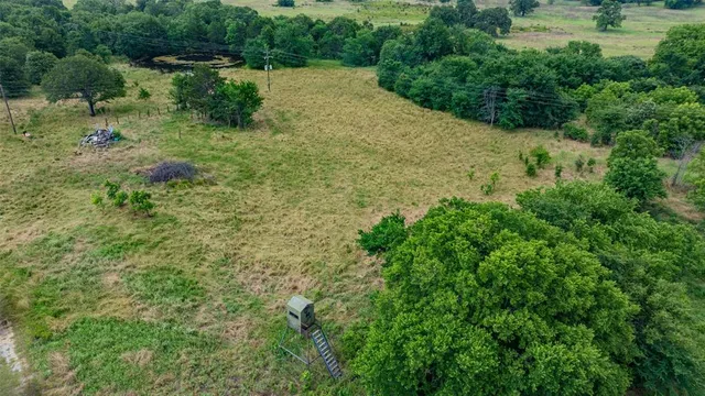 a view of a garden with a fountain