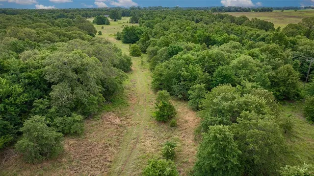 an aerial view of residential houses with outdoor space and trees