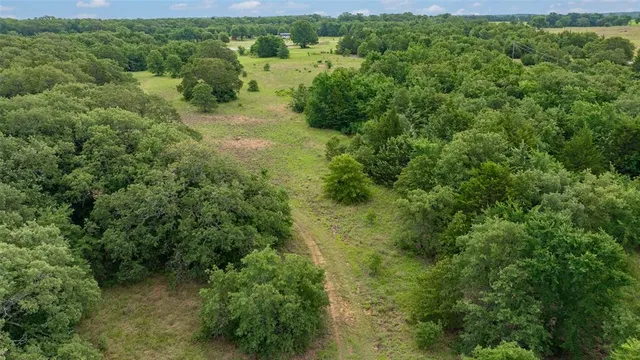 a view of a forest with a street