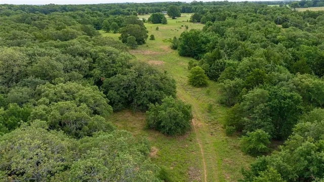 an aerial view of residential houses with outdoor space and trees