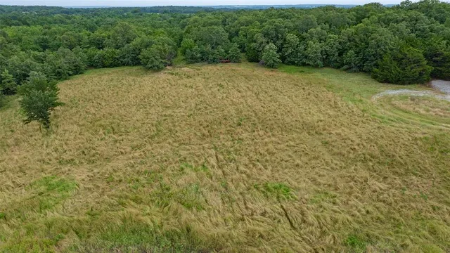 a view of a yard with an outdoor space