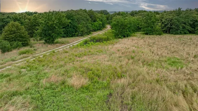 a backyard of a house with lots of green space