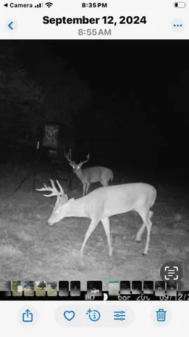 a close view of stove