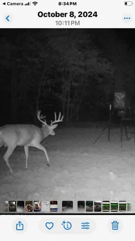 a view of a garden with a building in the background