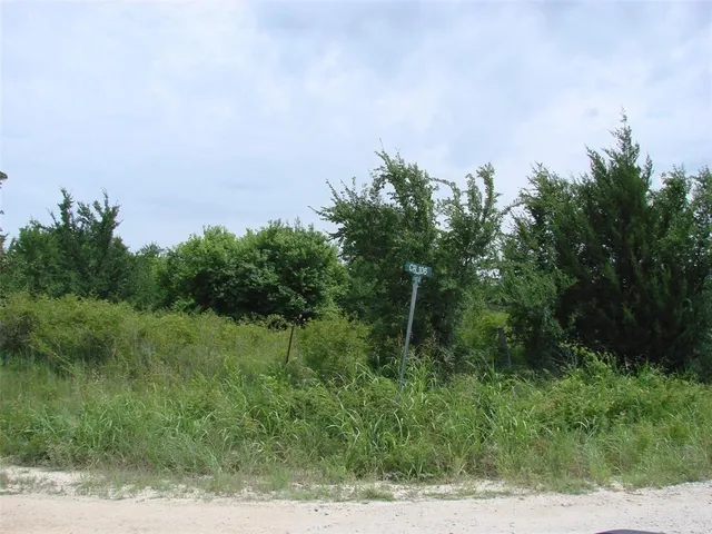a view of a field of grass and trees