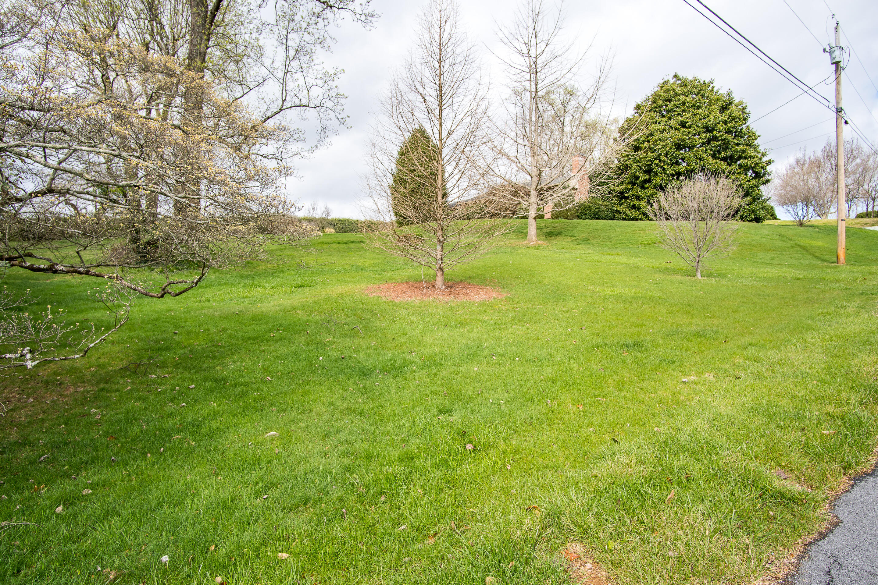 1213 Ridgeway Road Johnson City, TN 37601 - Photo 12 of 37 exterior-17