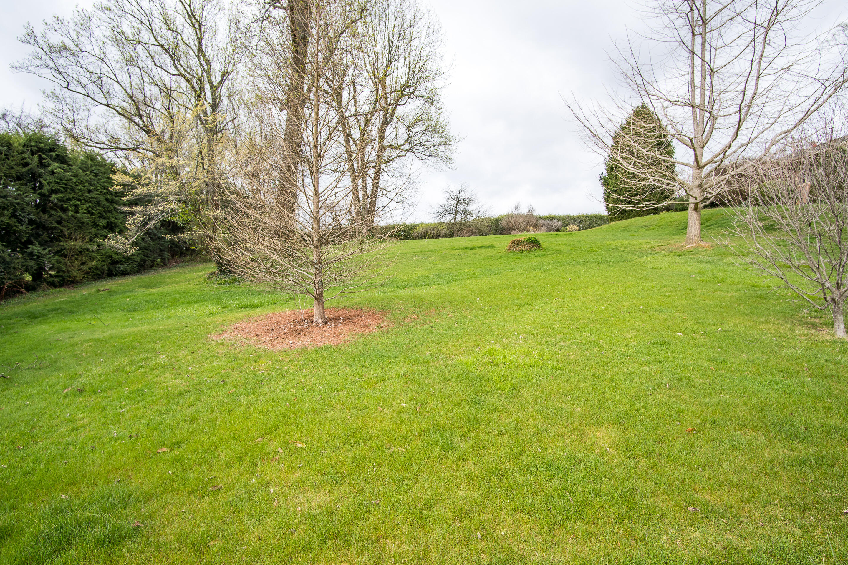 1213 Ridgeway Road Johnson City, TN 37601 - Photo 13 of 37 exterior-19