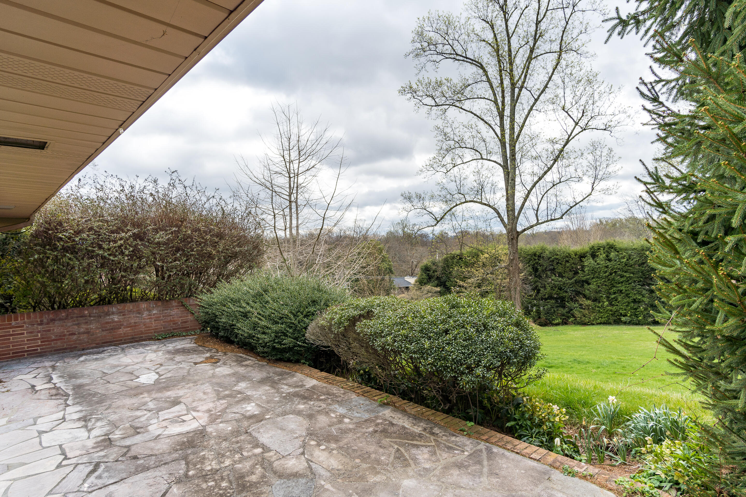 1213 Ridgeway Road Johnson City, TN 37601 - Photo 14 of 37 exterior