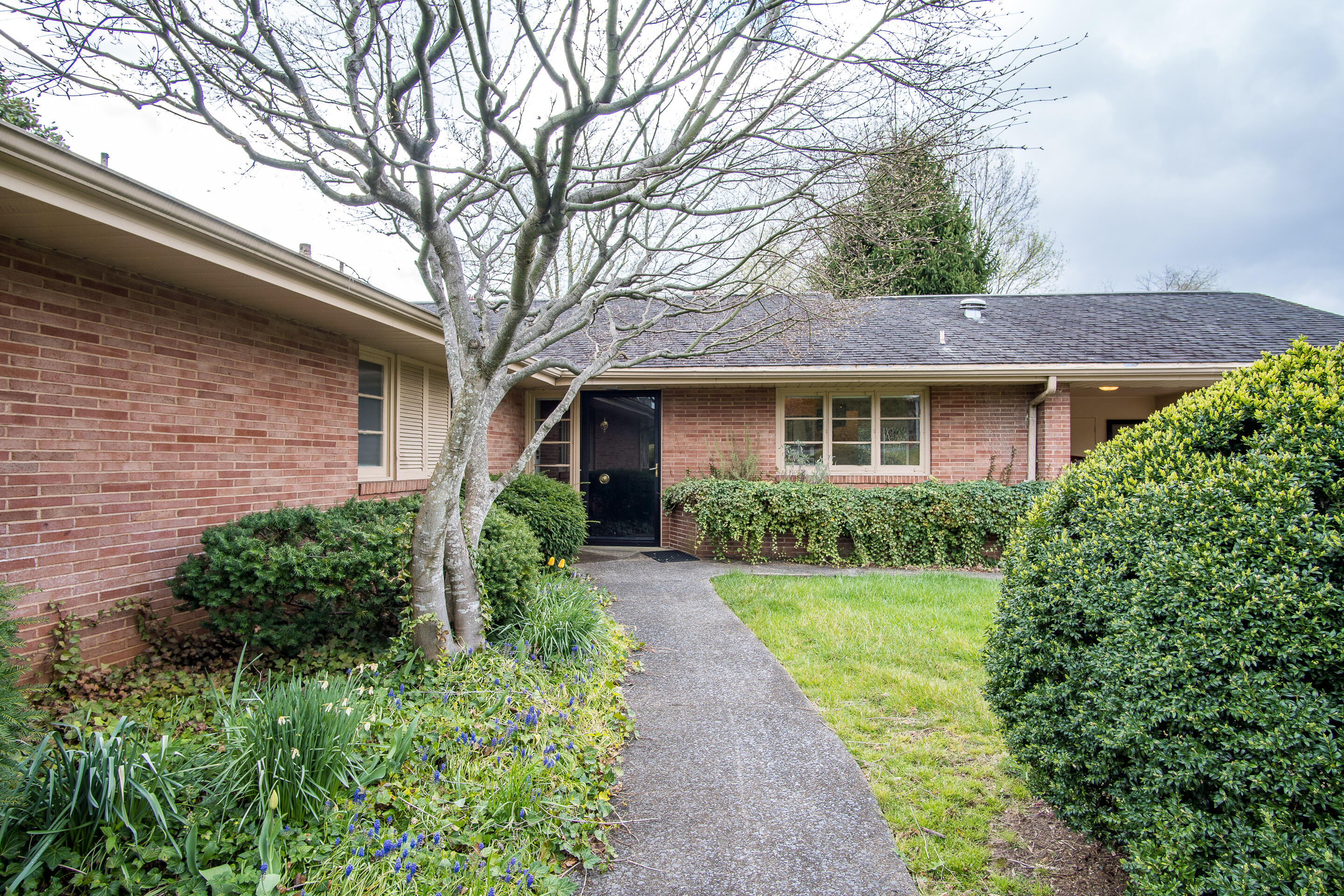 1213 Ridgeway Road Johnson City, TN 37601 - Photo 5 of 37 exterior-9