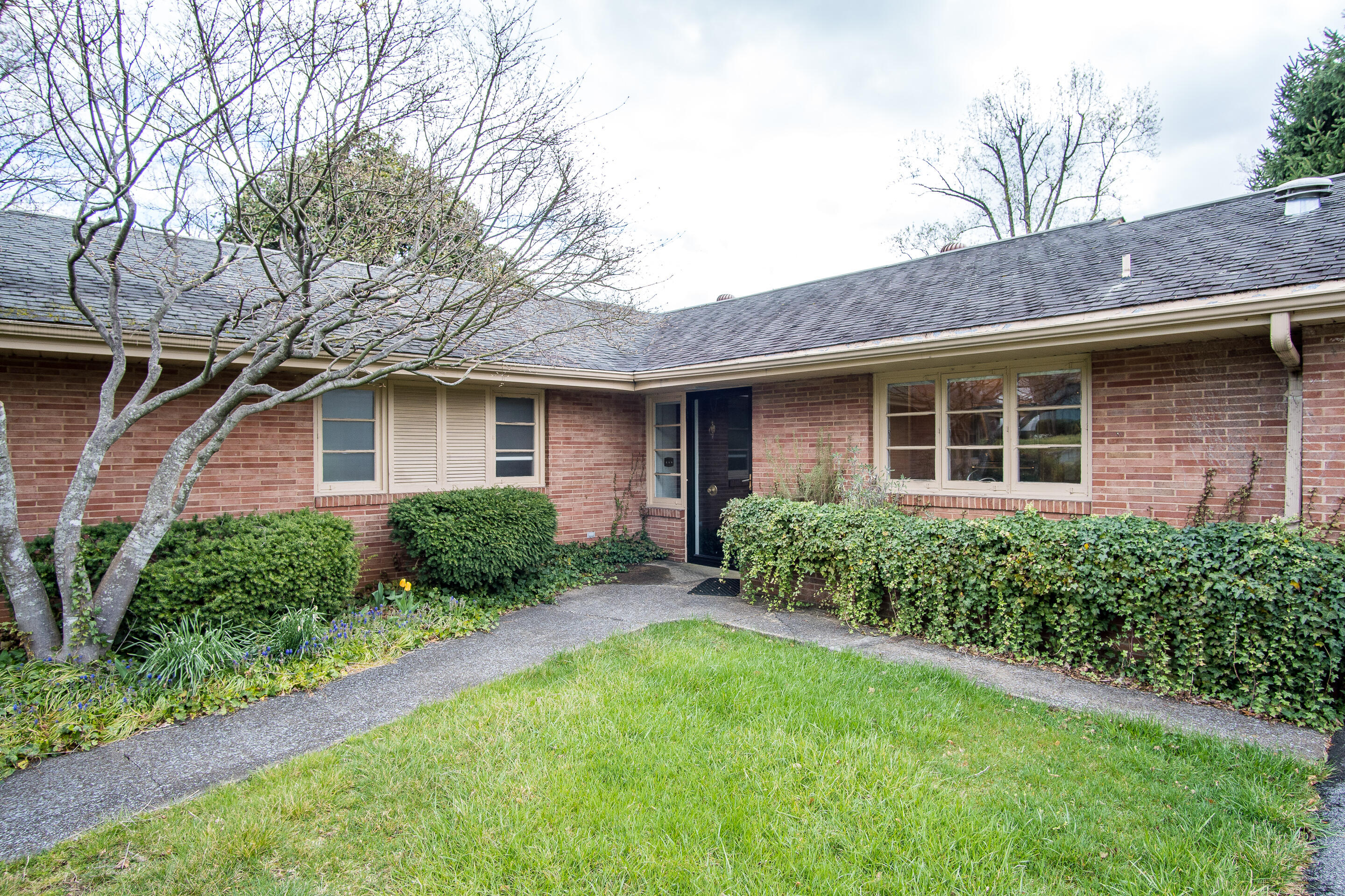 1213 Ridgeway Road Johnson City, TN 37601 - Photo 6 of 37 exterior-10
