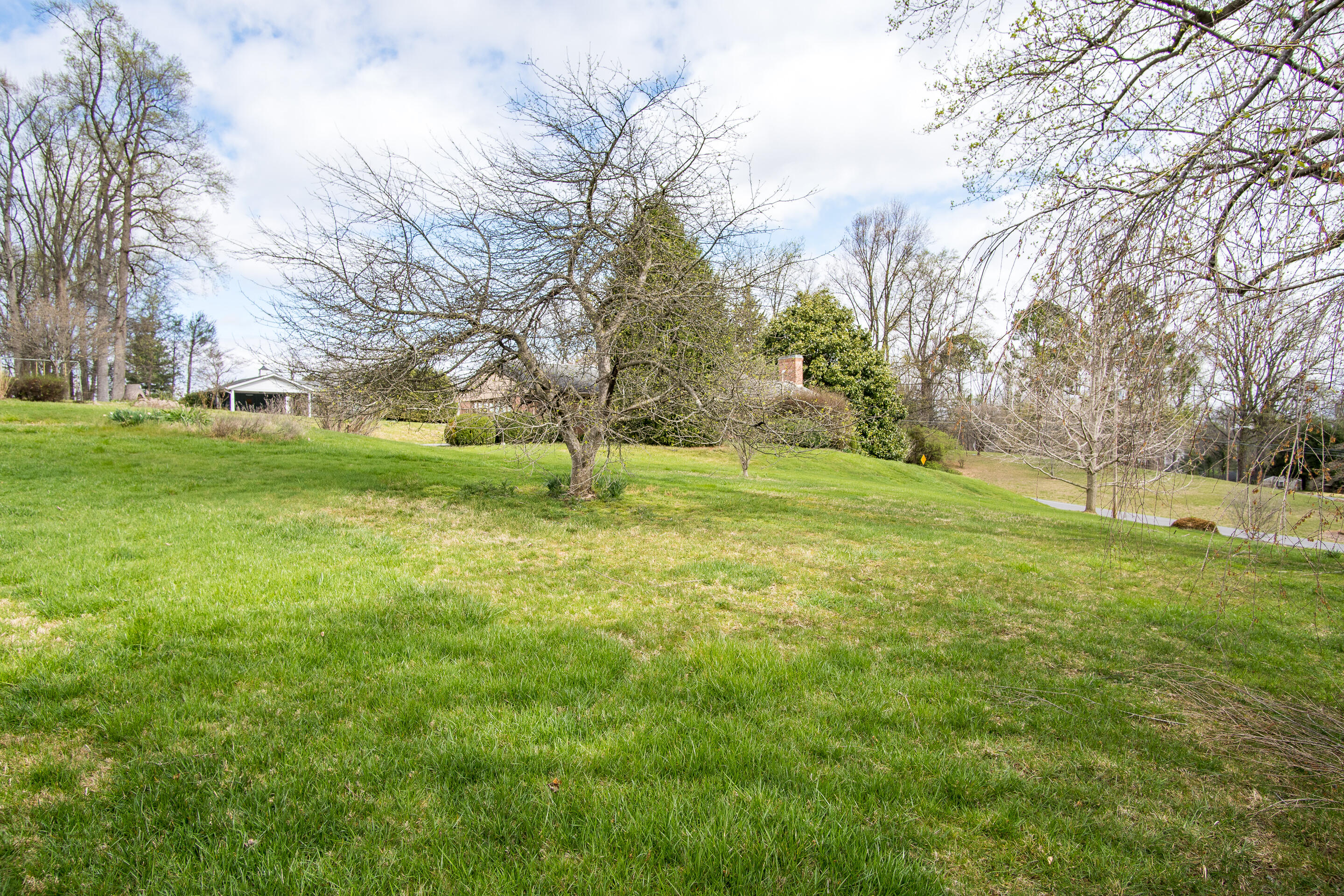 1213 Ridgeway Road Johnson City, TN 37601 - Photo 9 of 37 exterior-14