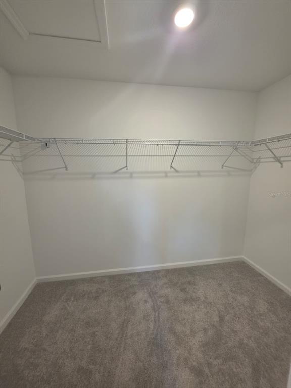 5156 Clay Whaley Road St. Cloud, FL 34772 - Photo 6 of 22