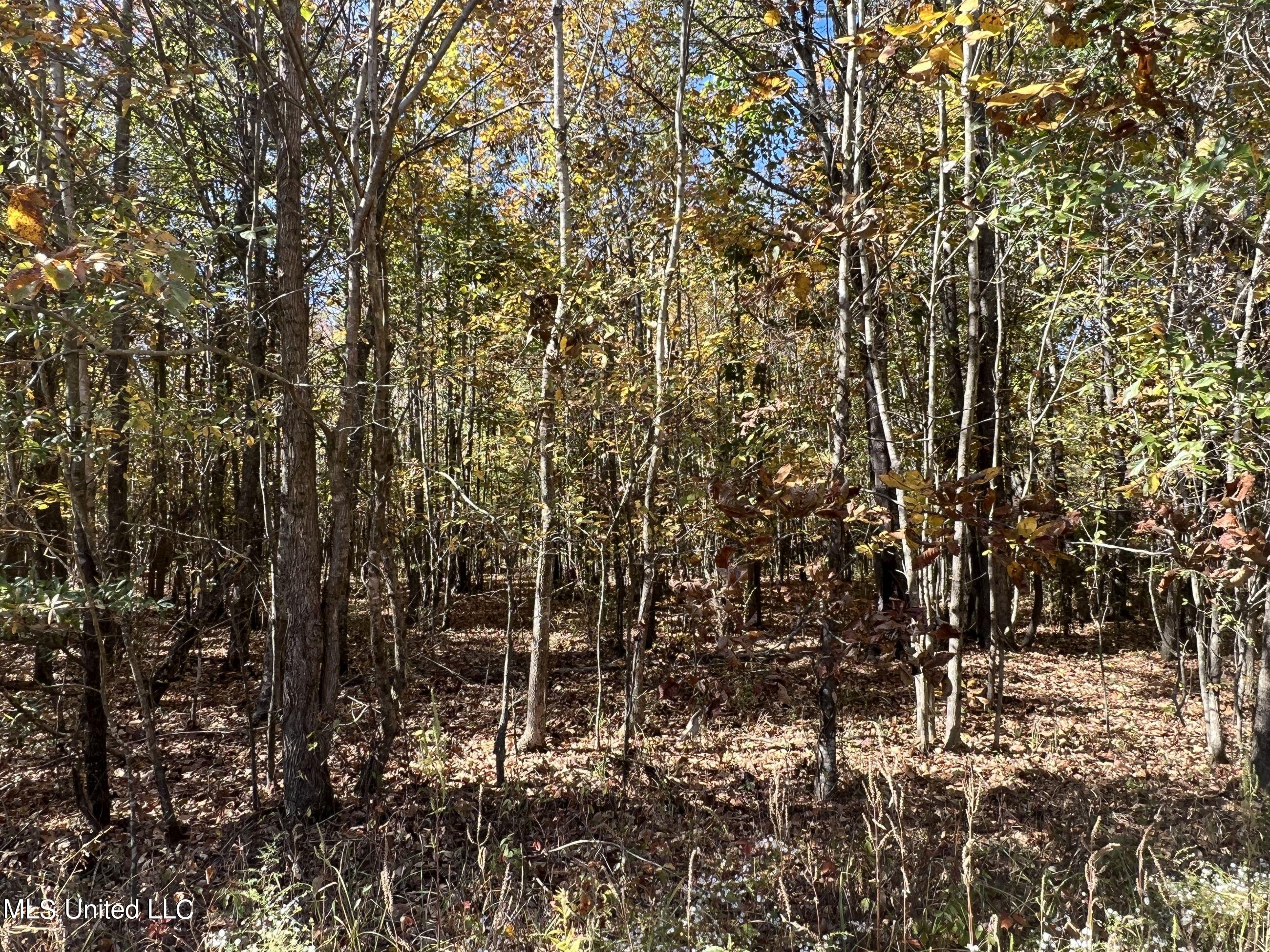5151 Nash Road Batesville, MS 38606 - Photo 28 of 75 3irvi14