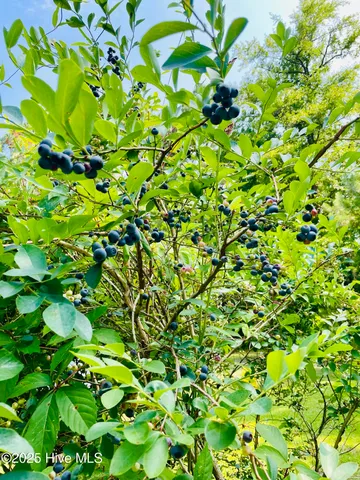 $374,900 | 110 Aaron Court, Burgaw, NC 28425