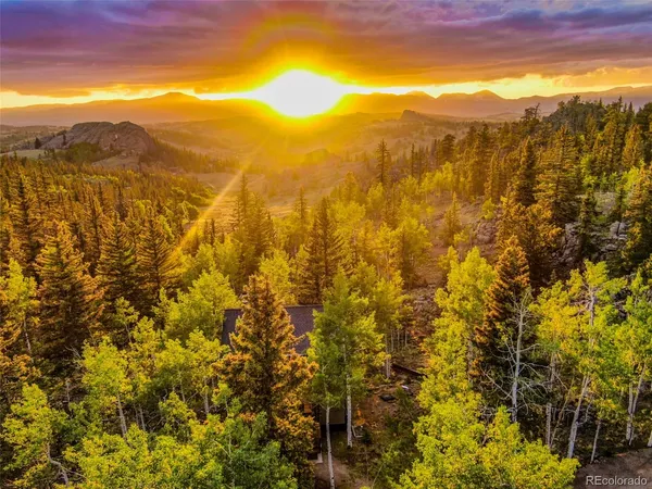 a view of a city with lush green forest