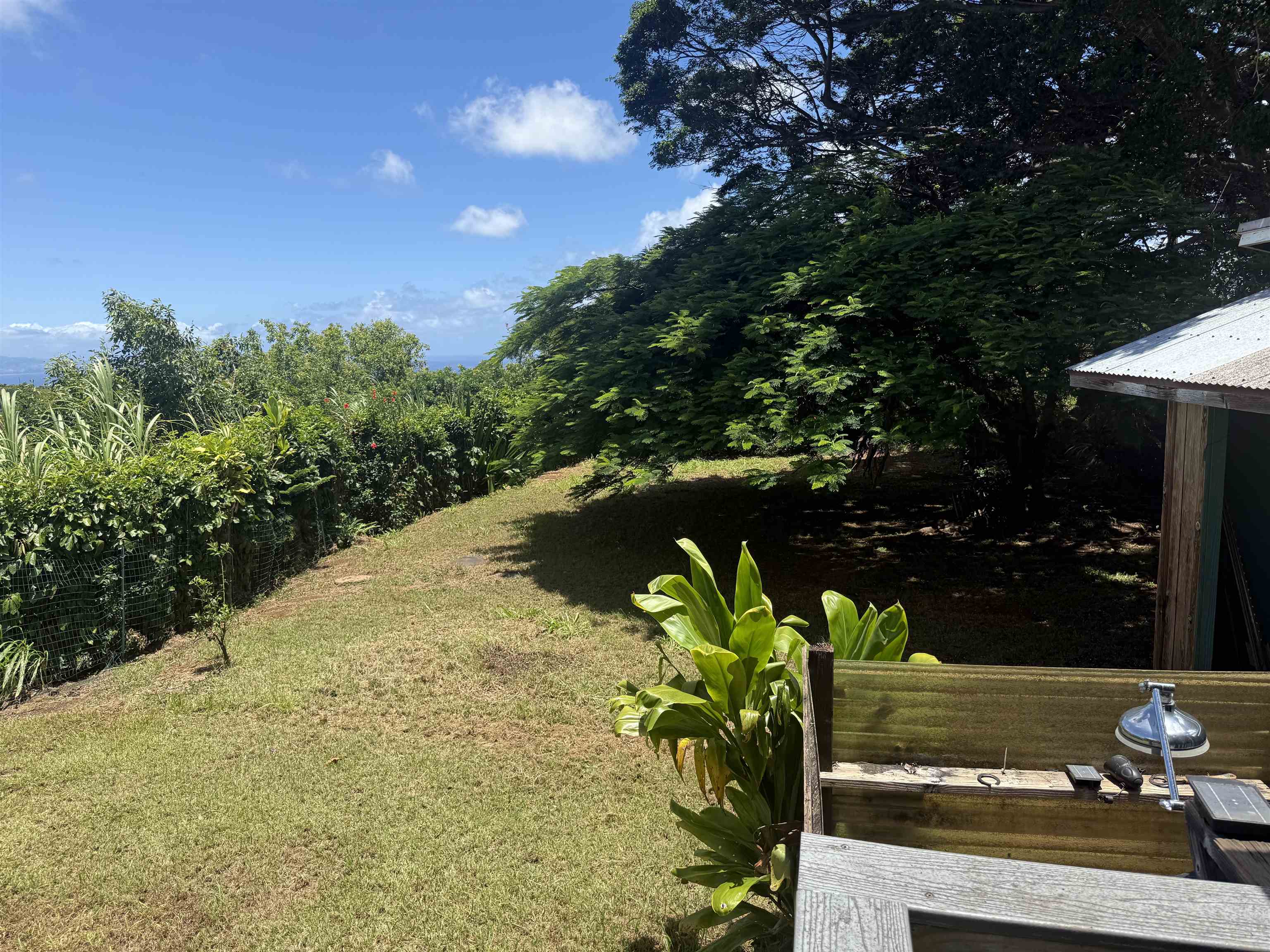 1490 Kokomo Road Haiku, HI 96708 - Photo 13 of 19