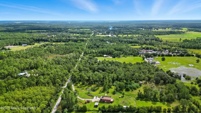 a view of a city with lush green forest