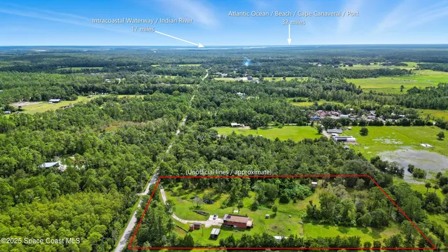 a view of a city with lush green forest