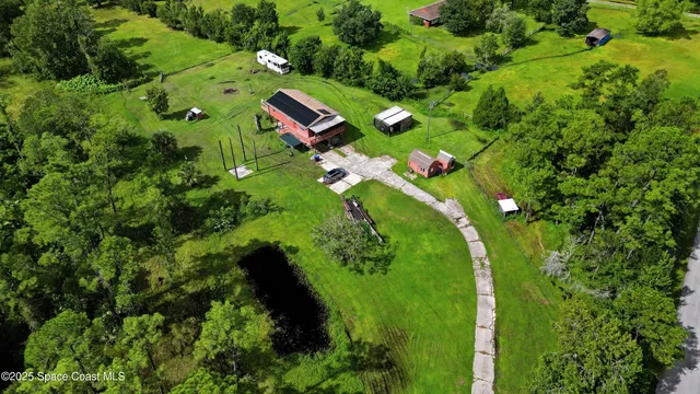 a bird view of flowers