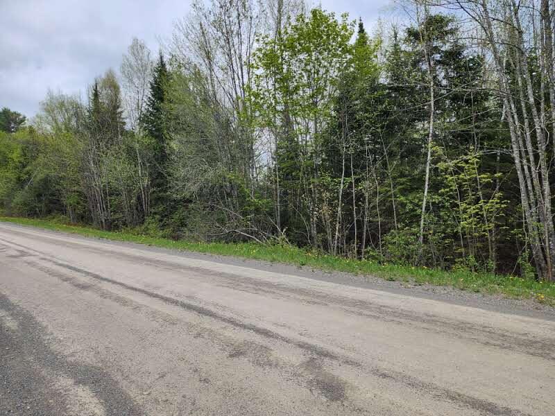 22.6-ac Estabrook Road Amity, ME 04471 - Photo 3 of 4 20250516_134503