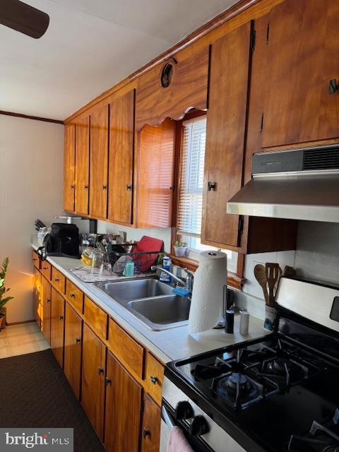 177 Rose Bowl Road Dover, DE 19904 - Photo 5 of 16 a kitchen with a stove and a sink
