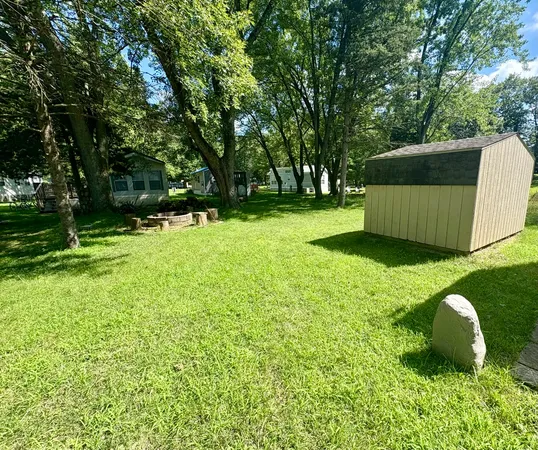 a view of a garden with a tree