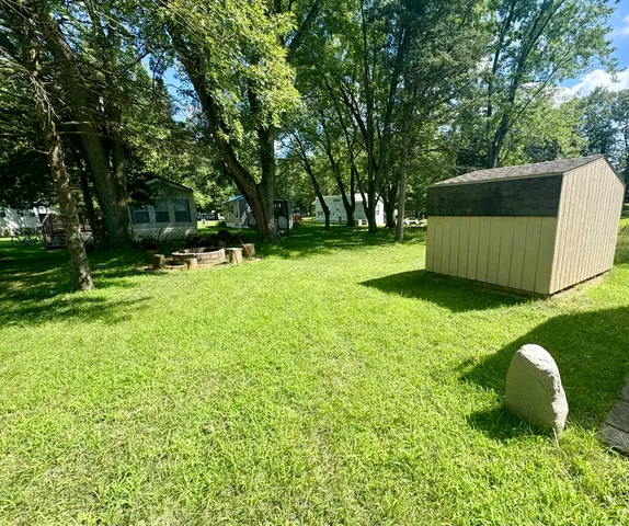 a view of a garden with a tree
