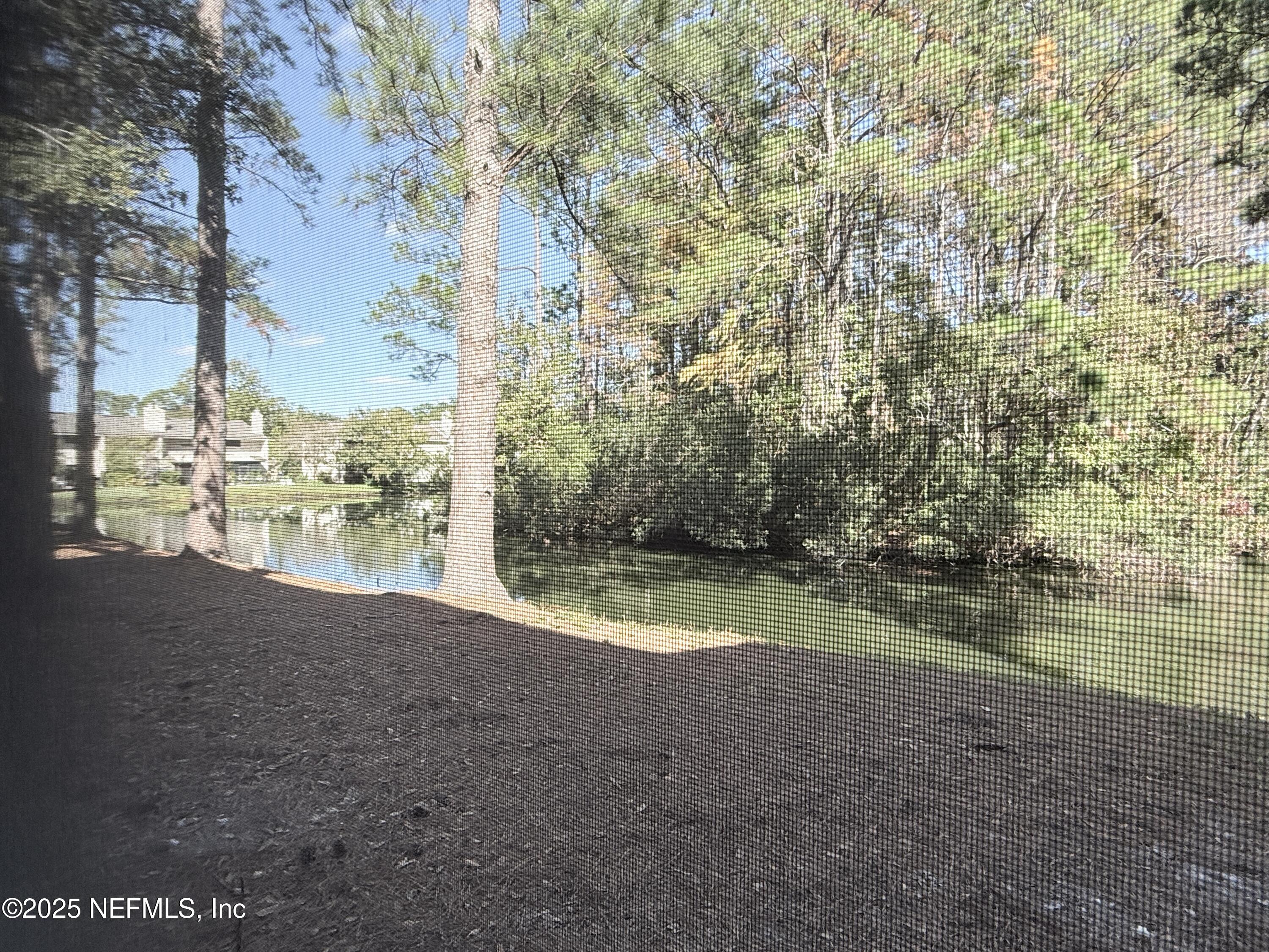 3801 Crown Point Road, Unit 2061 Jacksonville, FL 32257 - Photo 20 of 20 a view of a yard with a trees
