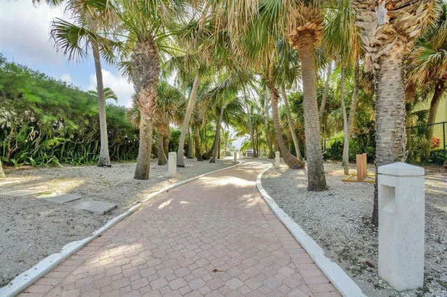 a view of a palm trees front of a house