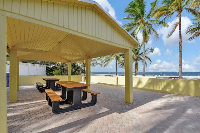 a view of ocean with a palm tree