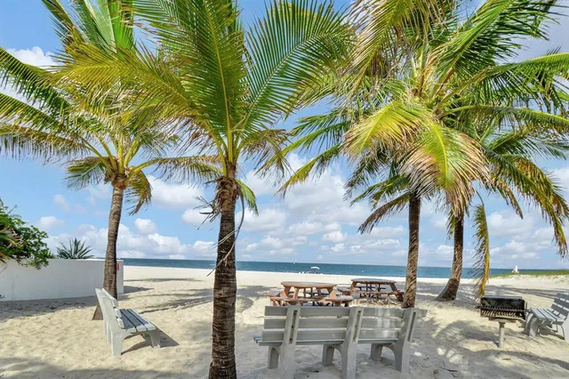 a view of a palm tree with sign board