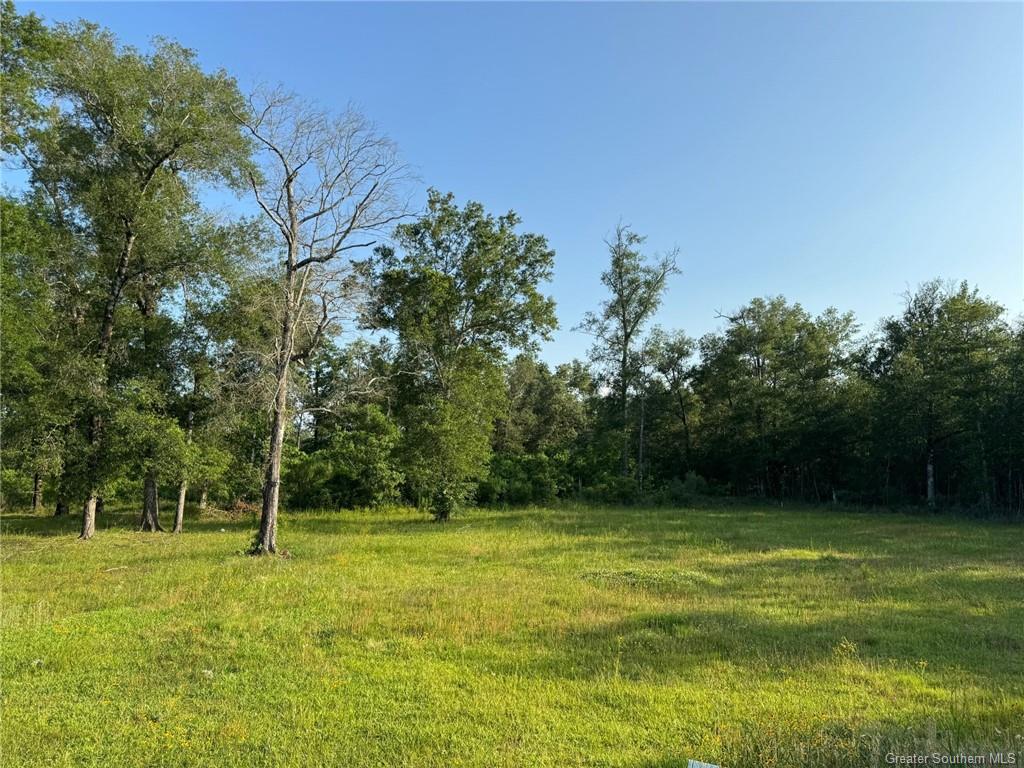 229 Old Pump Road Kinder, LA 70648 - Photo 19 of 20 Gallery Image 19
