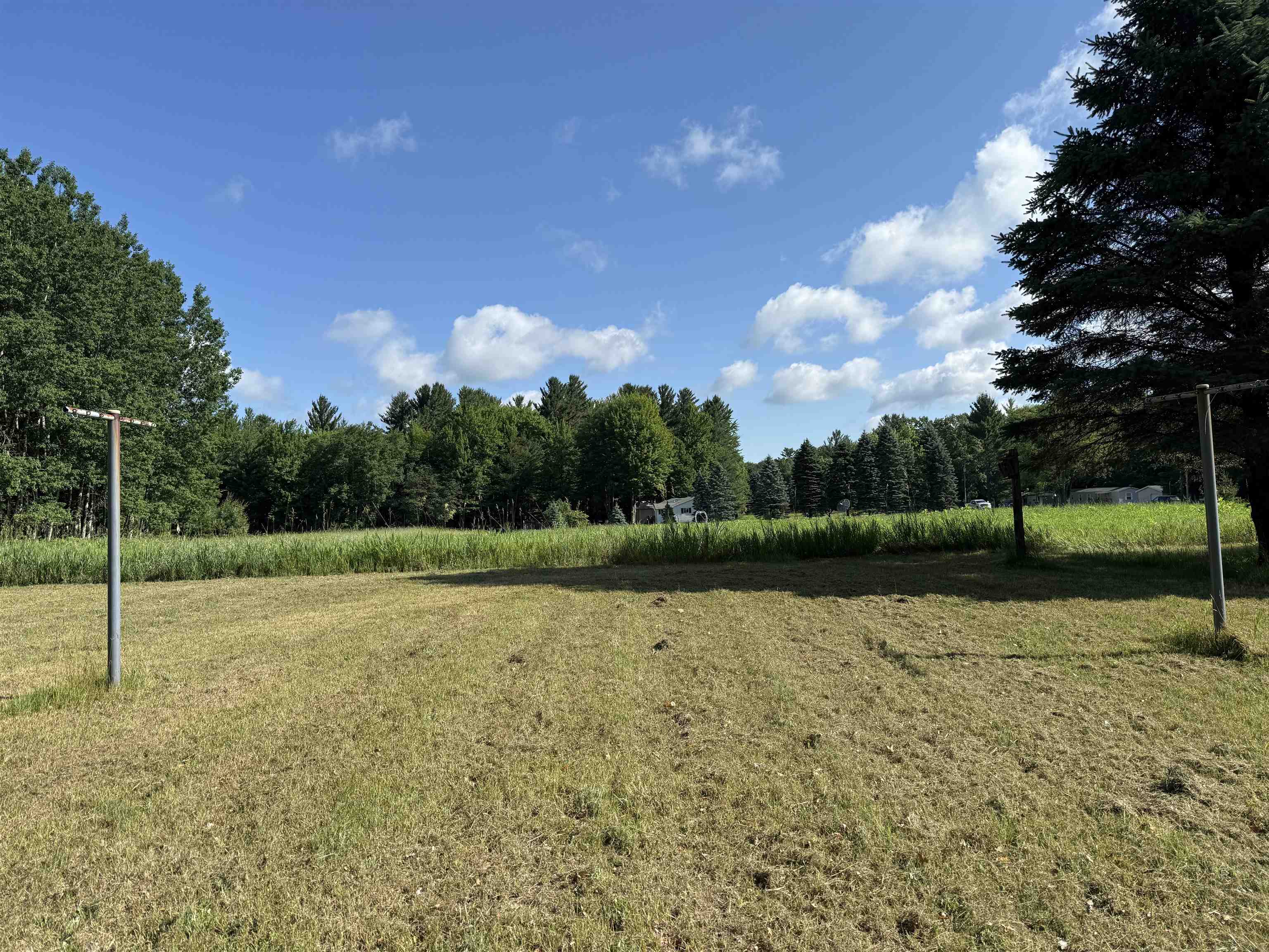 3910 South Vandermeulen Road McBain, MI 49657 - Photo 10 of 43
