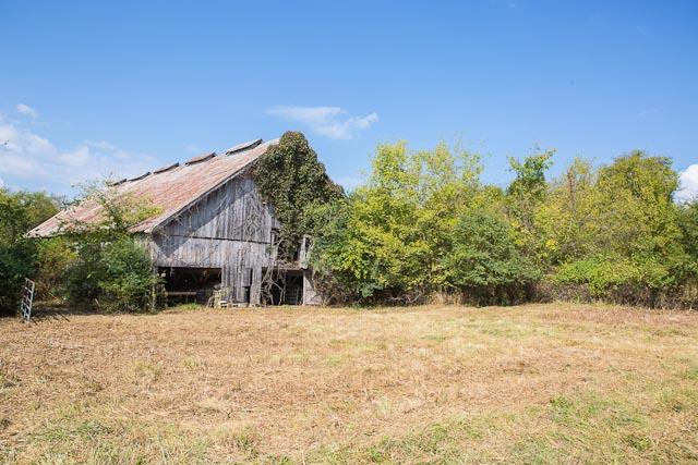 6319 Cox Road Arrington, TN 37014 - Photo 17 of 30 Old barn.