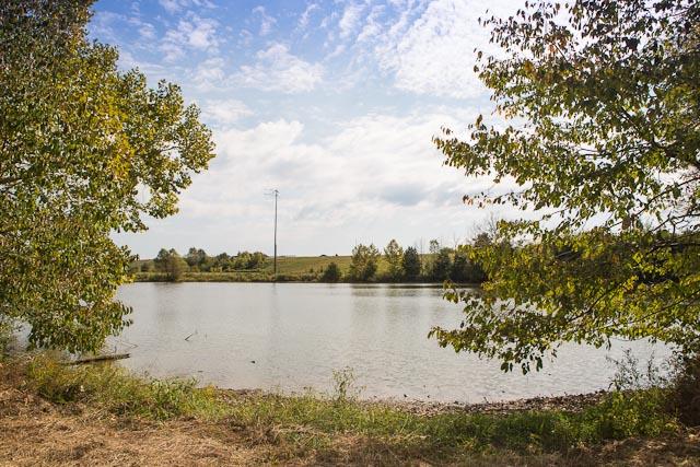 6319 Cox Road Arrington, TN 37014 - Photo 18 of 30 I can't get enough of this lake!